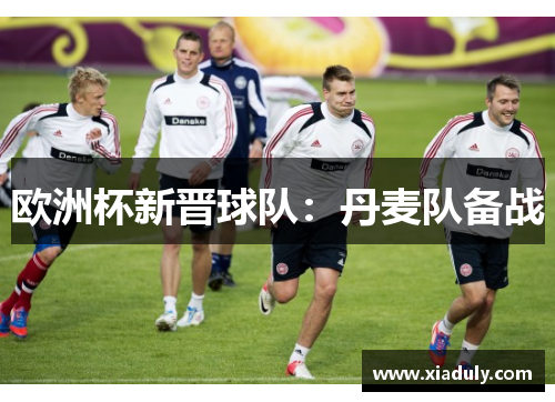 欧洲杯新晋球队：丹麦队备战