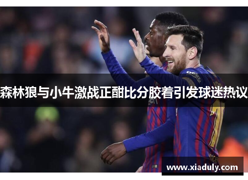 森林狼与小牛激战正酣比分胶着引发球迷热议