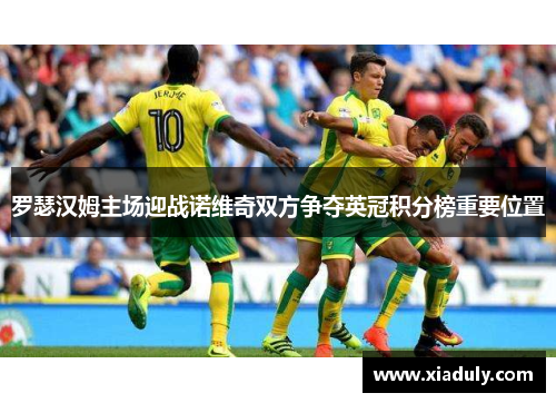 罗瑟汉姆主场迎战诺维奇双方争夺英冠积分榜重要位置