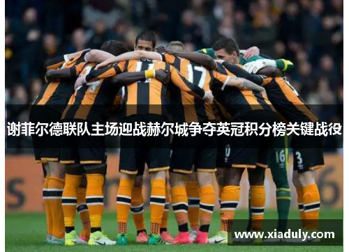 谢菲尔德联队主场迎战赫尔城争夺英冠积分榜关键战役